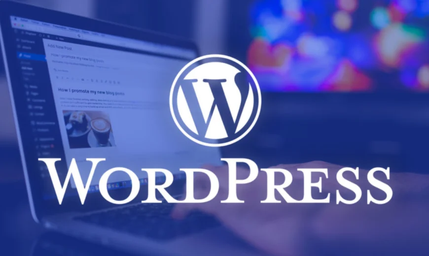 The Best Website Development Company for Startups on WordPress in India